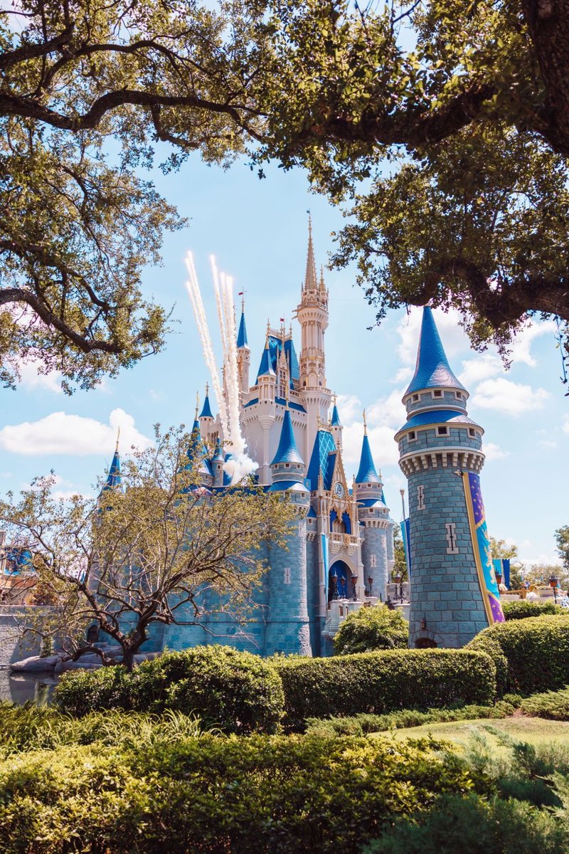 Fireworks over Cinderella Castle